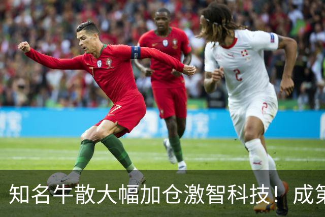 知名牛散大幅加仓激智科技！成第三大股东