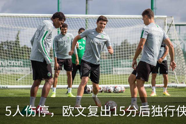 5人伤停，欧文复出15分后独行侠再战步行者